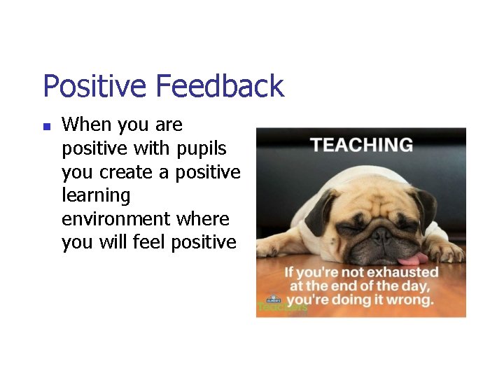 Positive Feedback n When you are positive with pupils you create a positive learning