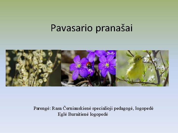 Pavasario pranašai Parengė: Rasa Černiauskienė specialioji pedagogė, logopedė Eglė Buraitienė logopedė 