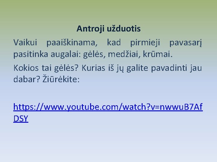 Antroji užduotis Vaikui paaiškinama, kad pirmieji pavasarį pasitinka augalai: gėlės, medžiai, krūmai. Kokios tai