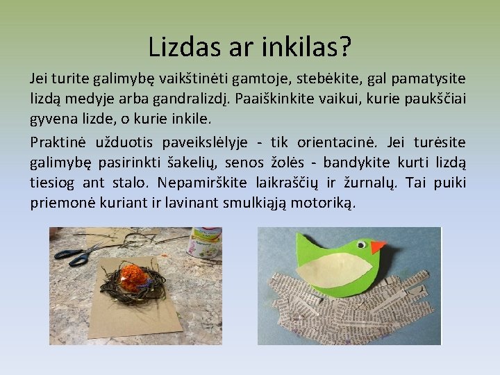 Lizdas ar inkilas? Jei turite galimybę vaikštinėti gamtoje, stebėkite, gal pamatysite lizdą medyje arba