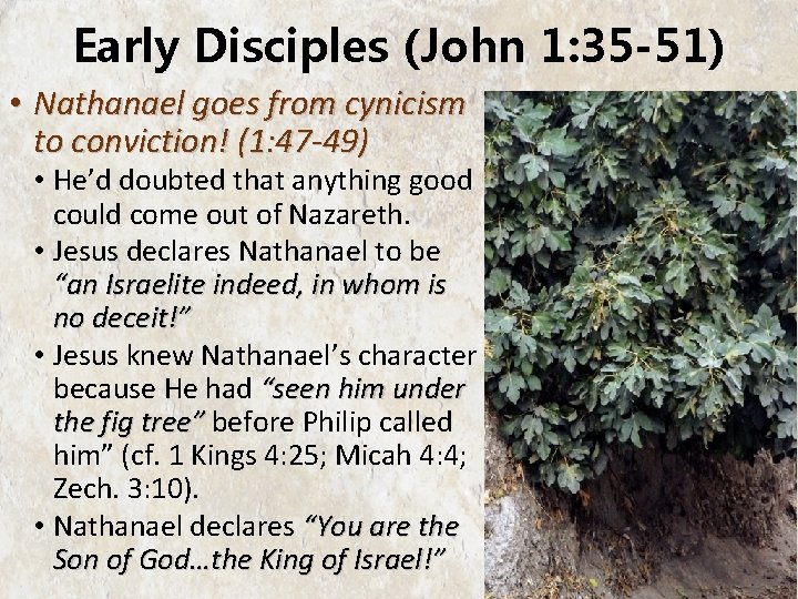 Early Disciples (John 1: 35 -51) • Nathanael goes from cynicism to conviction! (1: