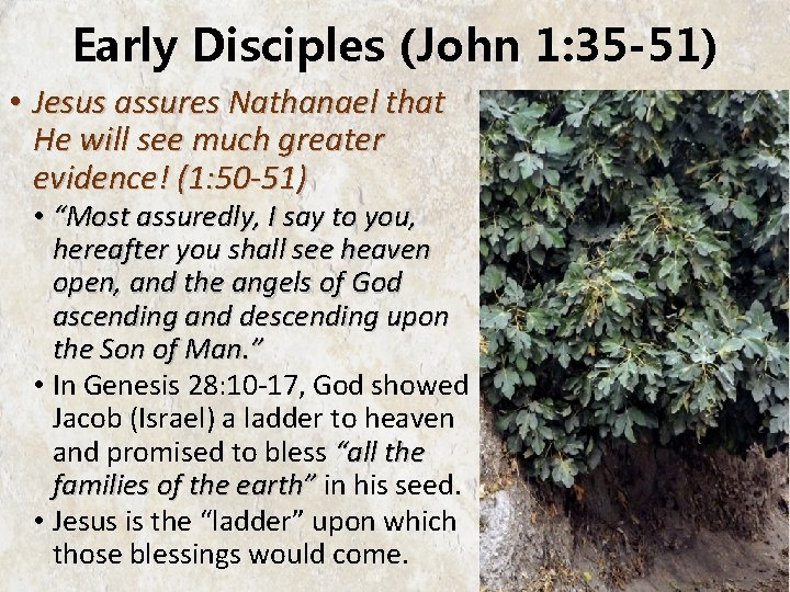 Early Disciples (John 1: 35 -51) • Jesus assures Nathanael that He will see