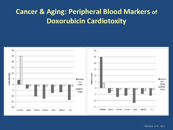 Cancer & Aging: Peripheral Blood Markers of Doxorubicin Cardiotoxity Todorova et al. , 2012