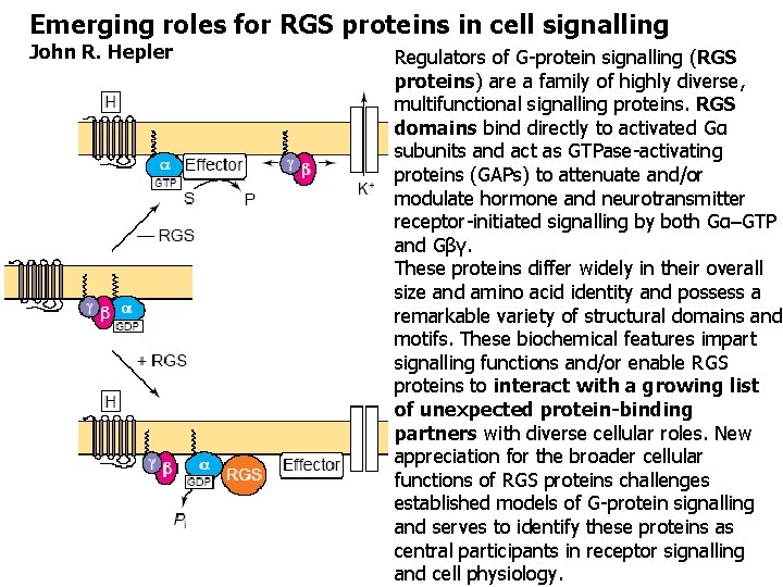 Emerging roles for RGS proteins in cell signalling John R. Hepler Regulators of G-protein