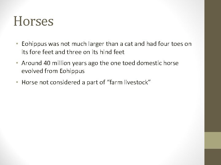 Horses • Eohippus was not much larger than a cat and had four toes