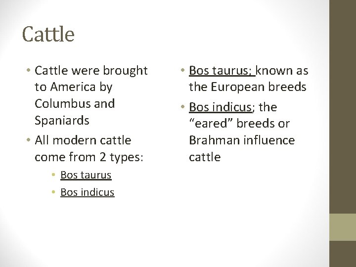 Cattle • Cattle were brought to America by Columbus and Spaniards • All modern