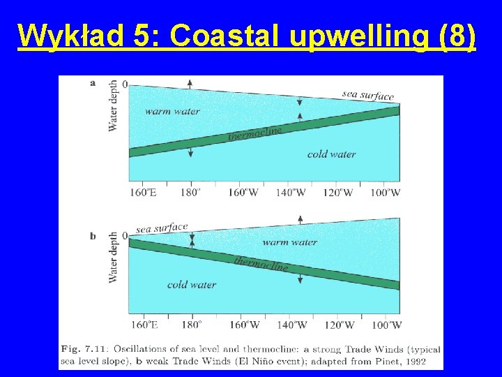 Wykład 5: Coastal upwelling (8) 