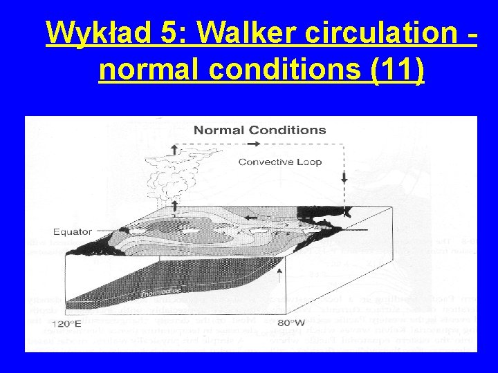 Wykład 5: Walker circulation normal conditions (11) 