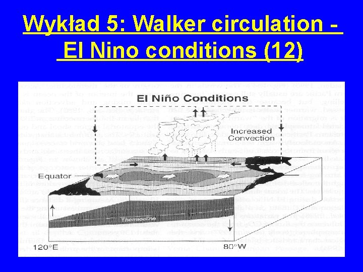 Wykład 5: Walker circulation El Nino conditions (12) 