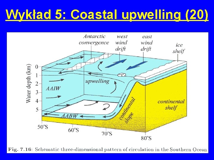 Wykład 5: Coastal upwelling (20) 