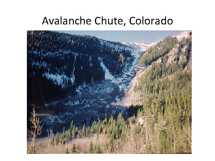 Avalanche Chute, Colorado 