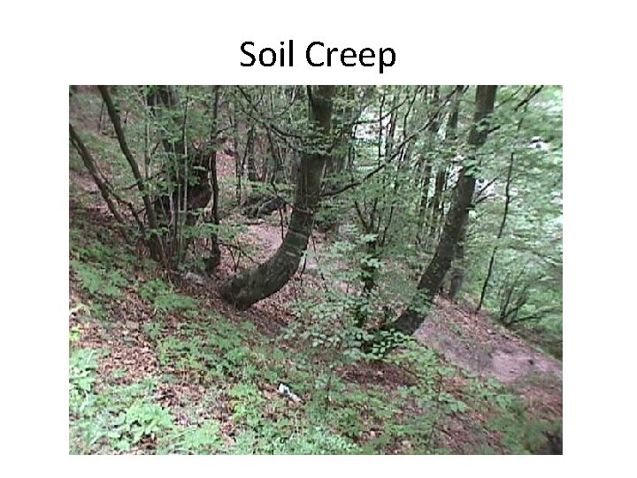 Soil Creep 