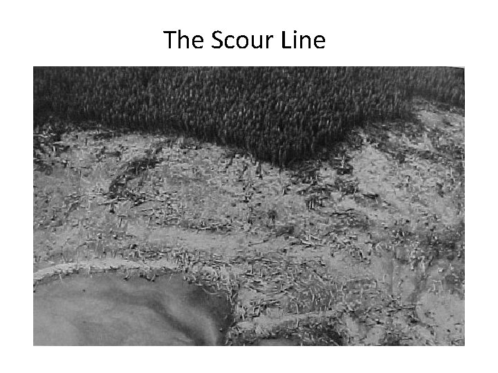 The Scour Line 