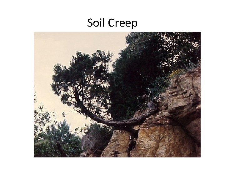 Soil Creep 