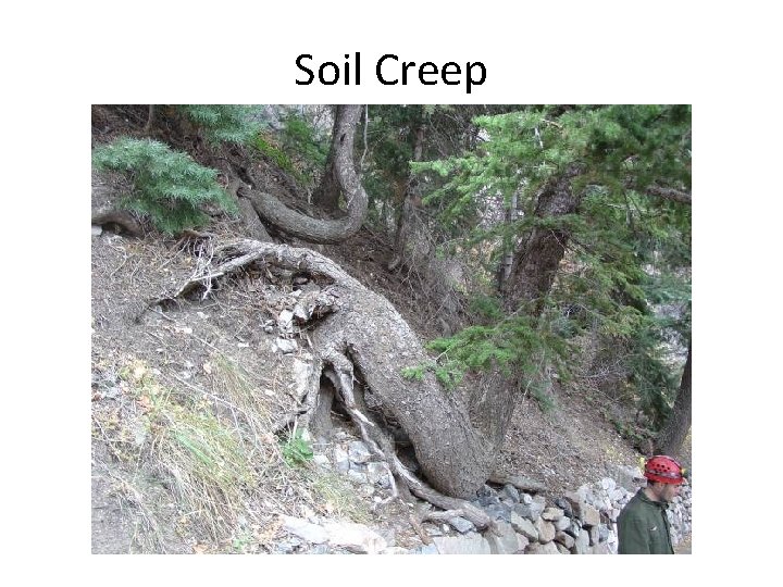 Soil Creep 