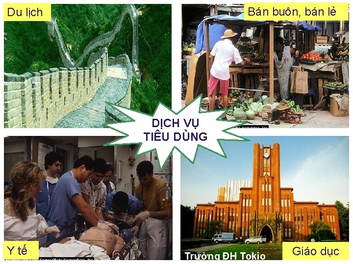 Bán buôn, bán lẻ Du lịch DỊCH VỤ TIÊU DÙNG Y tế Trường ĐH