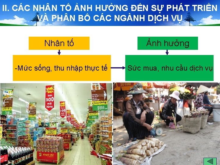 II. CÁC NH N TỐ ẢNH HƯỞNG ĐẾN SỰ PHÁT TRIỂN VÀ PH N