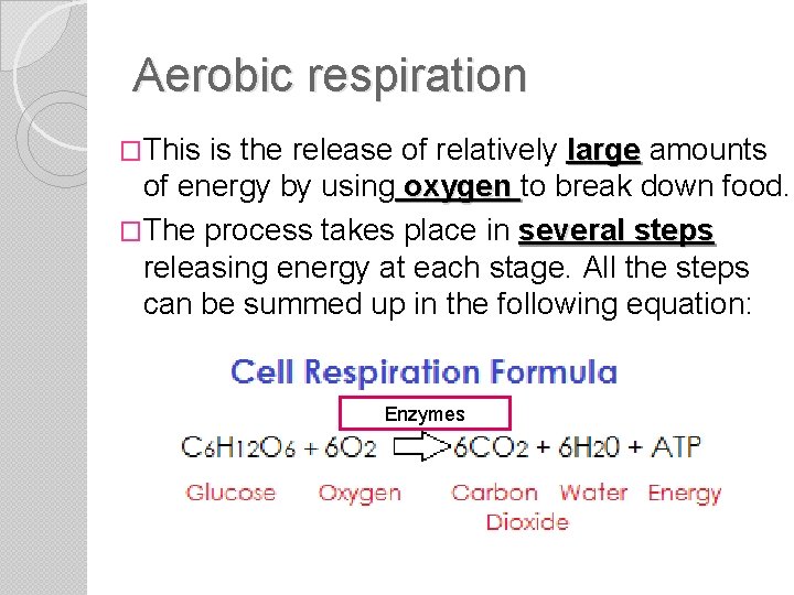 Aerobic respiration �This is the release of relatively large amounts of energy by using