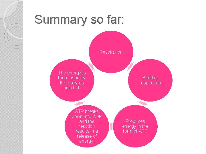 Summary so far: Respiration The energy is then used by the body as needed.