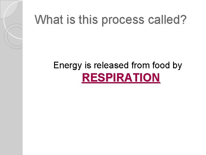 What is this process called? Energy is released from food by RESPIRATION 