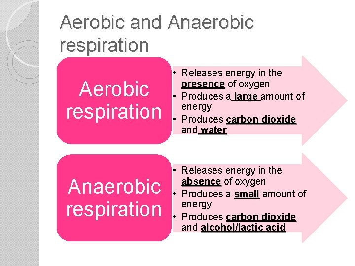 Aerobic and Anaerobic respiration Aerobic respiration • Releases energy in the presence of oxygen