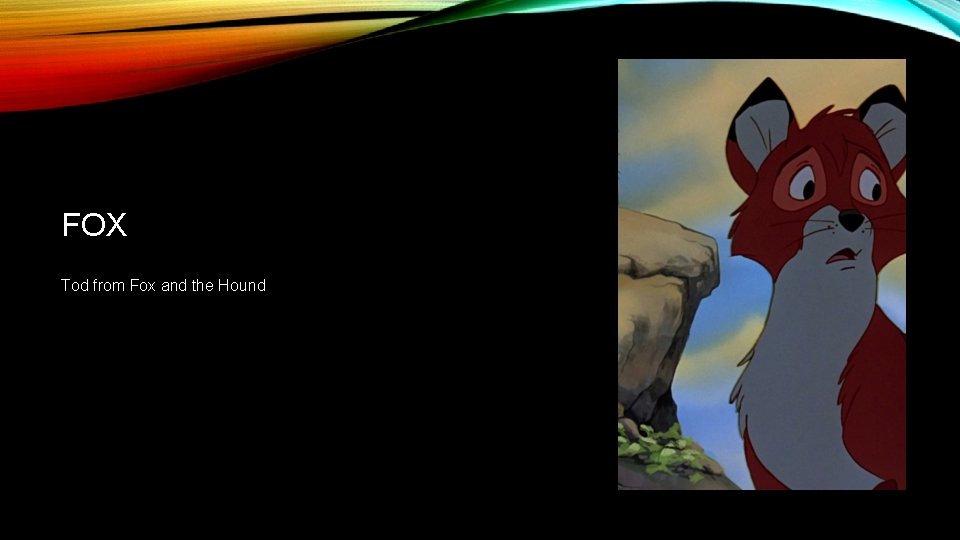 FOX Tod from Fox and the Hound 