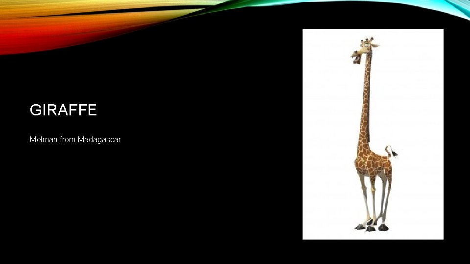 GIRAFFE Melman from Madagascar 