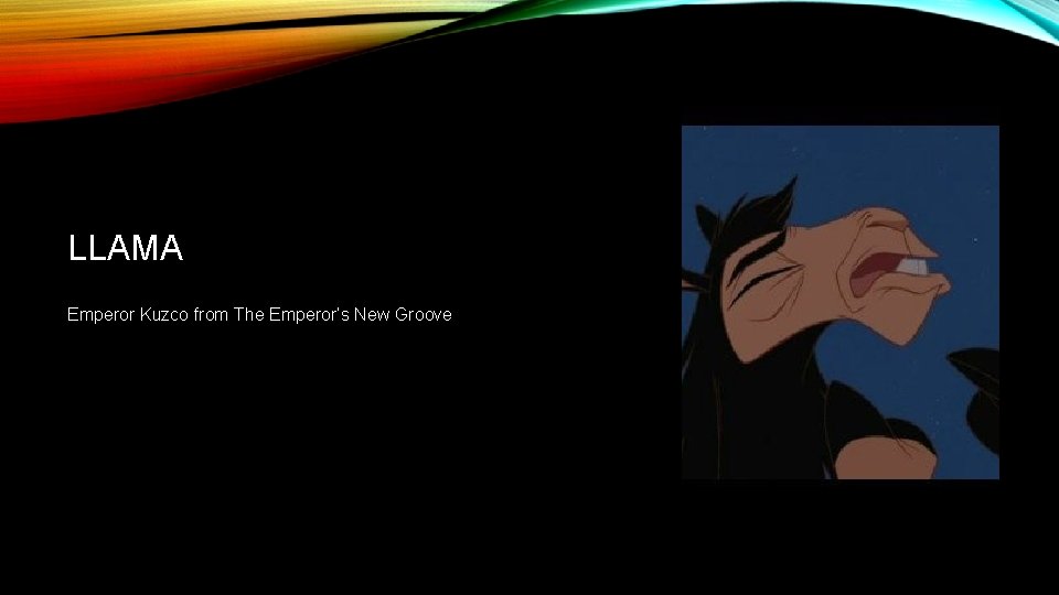 LLAMA Emperor Kuzco from The Emperor’s New Groove 