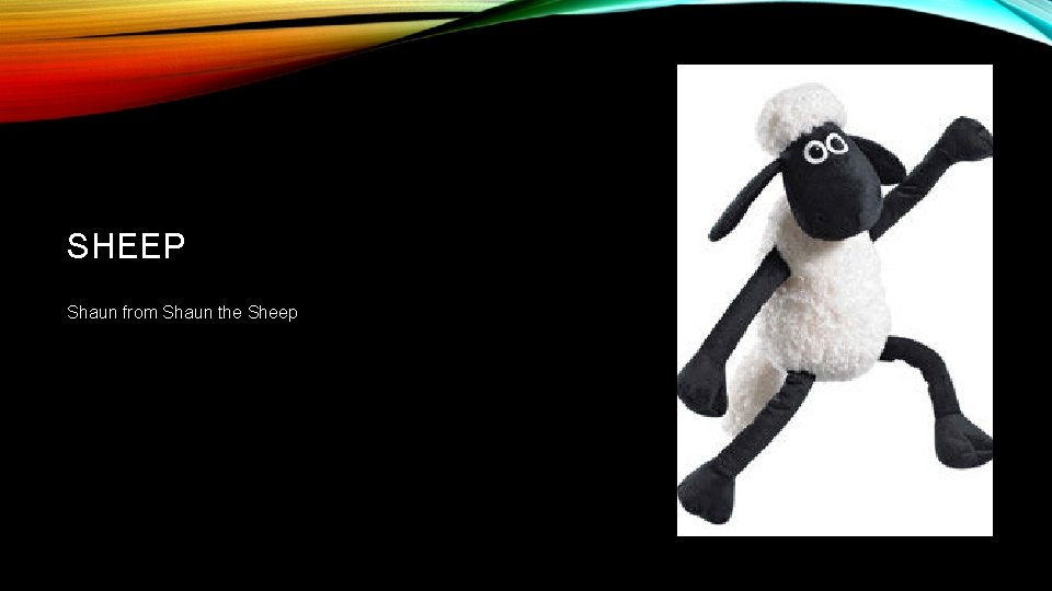 SHEEP Shaun from Shaun the Sheep 