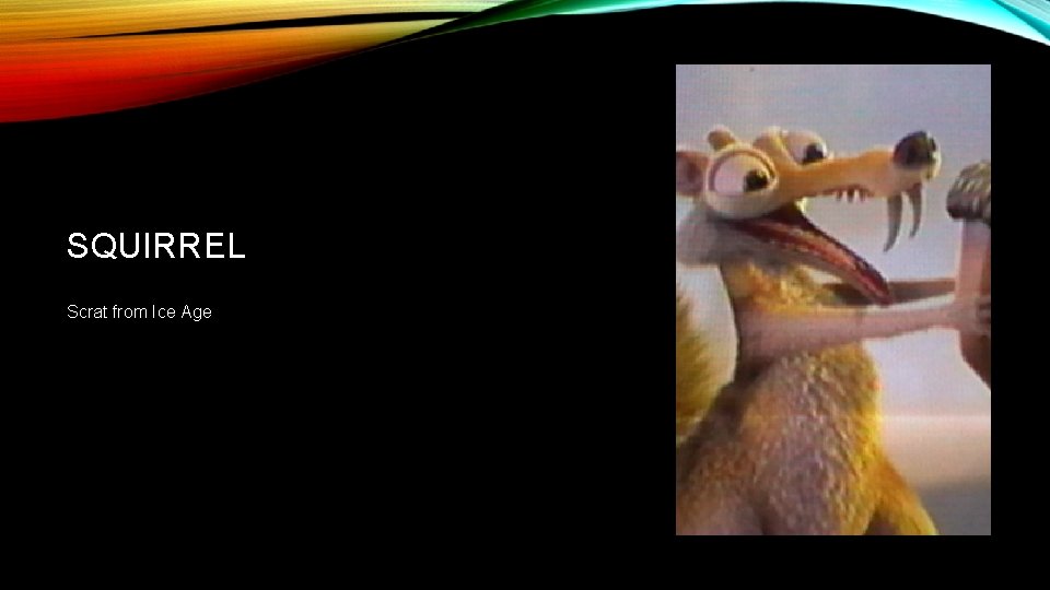 SQUIRREL Scrat from Ice Age 