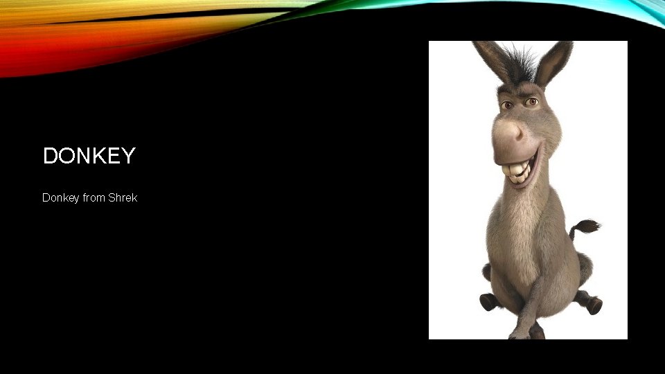 DONKEY Donkey from Shrek 
