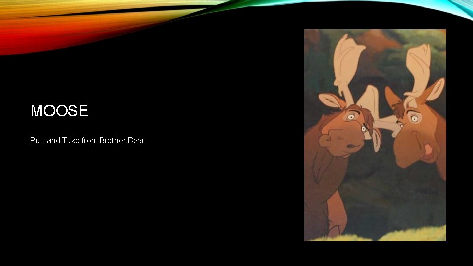 MOOSE Rutt and Tuke from Brother Bear 