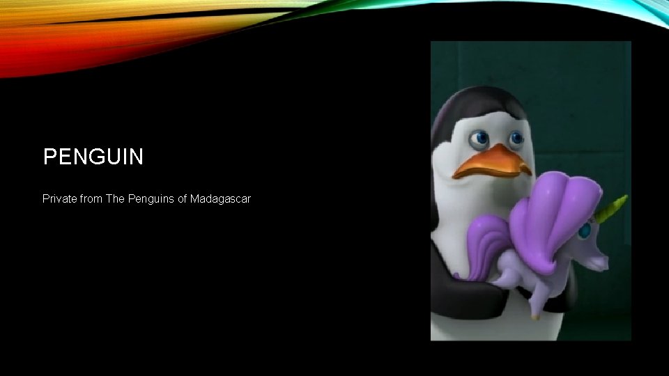 PENGUIN Private from The Penguins of Madagascar 