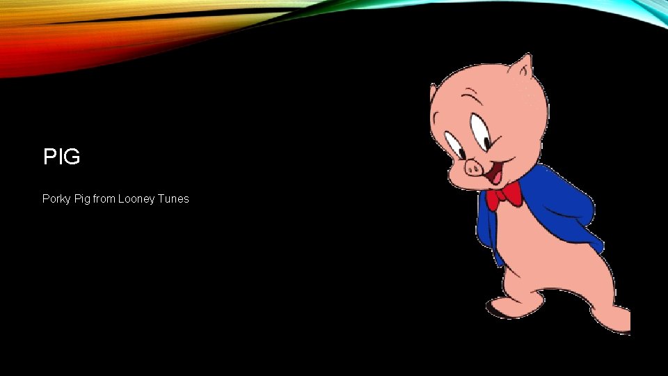 PIG Porky Pig from Looney Tunes 