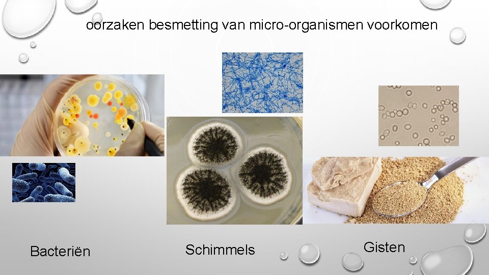 oorzaken besmetting van micro-organismen voorkomen Bacteriën Schimmels Gisten 