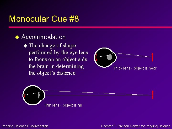 Monocular Cue #8 u Accommodation u The change of shape performed by the eye Monocular Cue #8 u Accommodation u The change of shape performed by the eye
