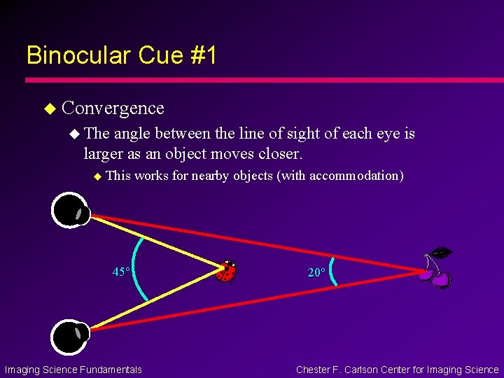 Binocular Cue #1 u Convergence u The angle between the line of sight of Binocular Cue #1 u Convergence u The angle between the line of sight of