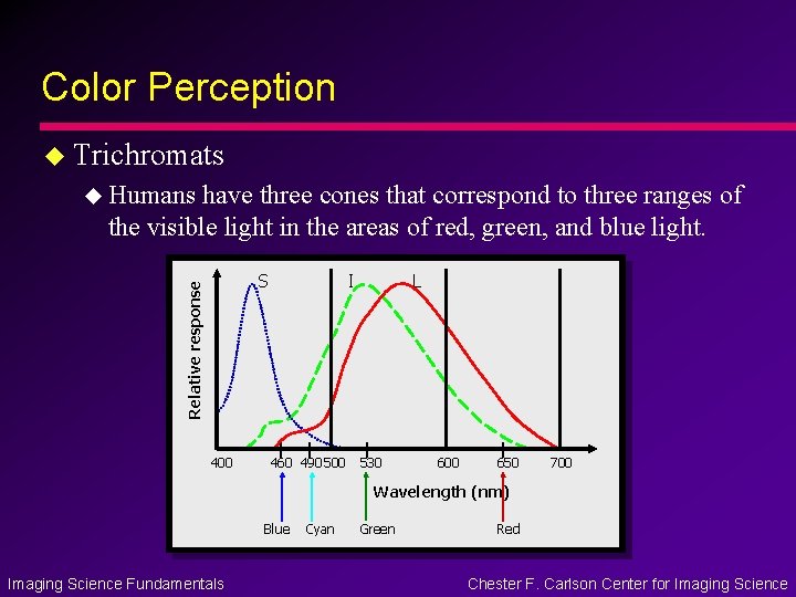 Color Perception u Trichromats u Humans have three cones that correspond to three ranges Color Perception u Trichromats u Humans have three cones that correspond to three ranges