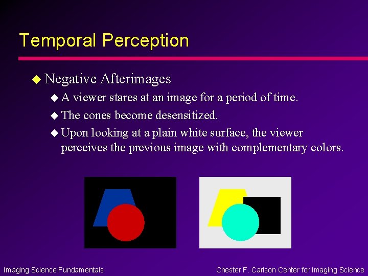 Temporal Perception u Negative Afterimages u. A viewer stares at an image for a Temporal Perception u Negative Afterimages u. A viewer stares at an image for a