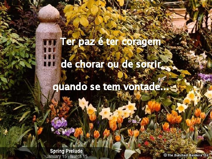 Ter paz é ter coragem de chorar ou de sorrir quando se tem vontade.