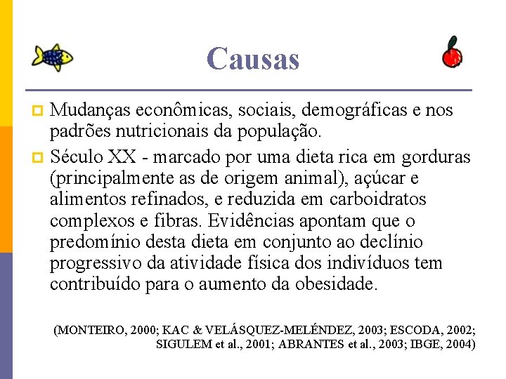 Causas Mudanças econômicas, sociais, demográficas e nos padrões nutricionais da população. p Século XX