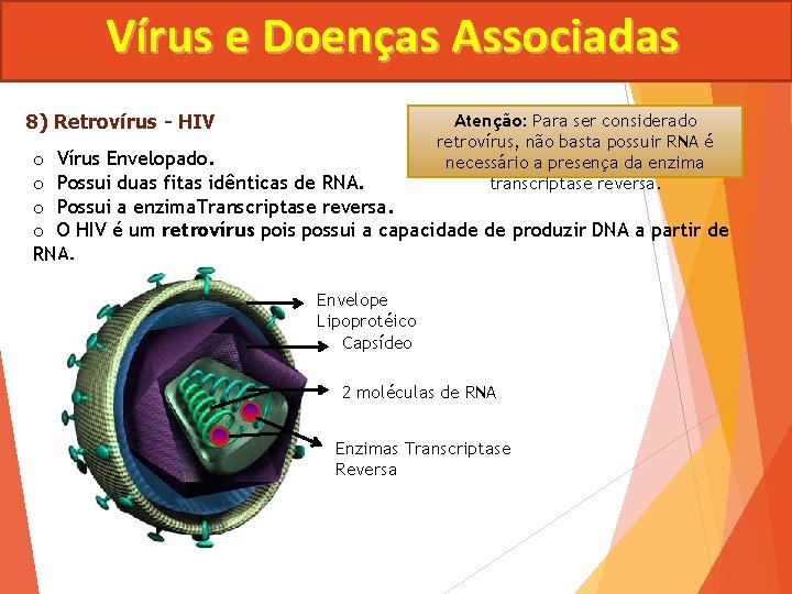 Vírus e Doenças Associadas 8) Retrovírus - HIV Atenção: Para ser considerado retrovírus, não