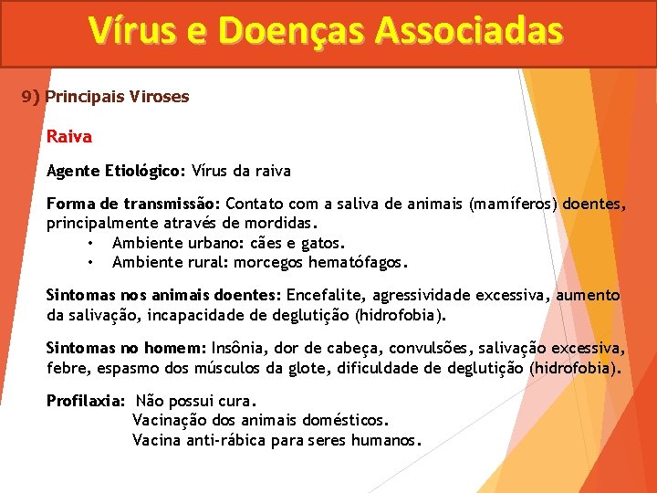 Vírus e Doenças Associadas 9) Principais Viroses Raiva Agente Etiológico: Vírus da raiva Forma