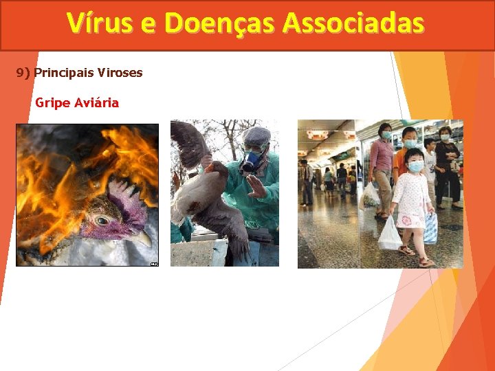 Vírus e Doenças Associadas 9) Principais Viroses Gripe Aviária 