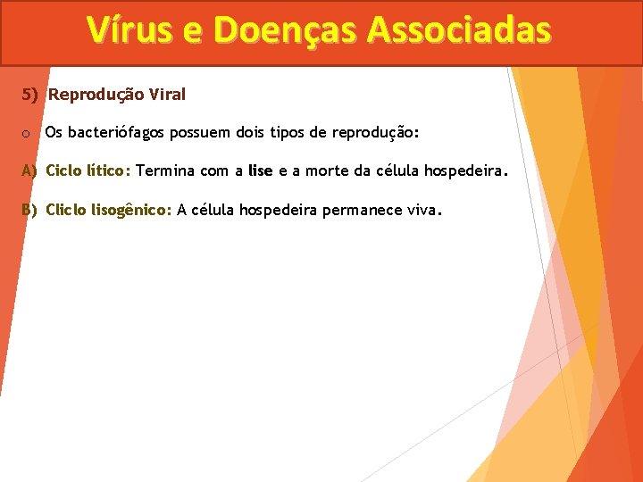Vírus e Doenças Associadas 5) Reprodução Viral o Os bacteriófagos possuem dois tipos de