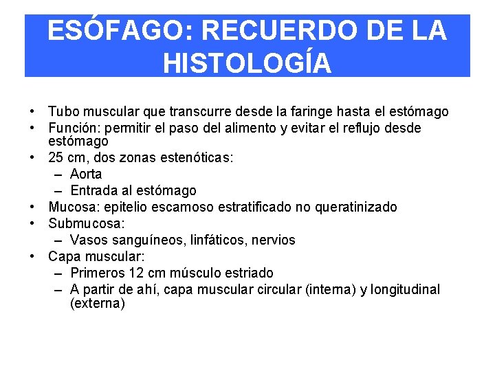 ESÓFAGO: RECUERDO DE LA HISTOLOGÍA • Tubo muscular que transcurre desde la faringe hasta