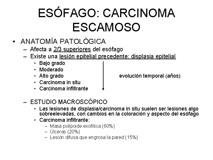 ESÓFAGO: CARCINOMA ESCAMOSO • ANATOMÍA PATOLÓGICA – Afecta a 2/3 superiores del esófago –