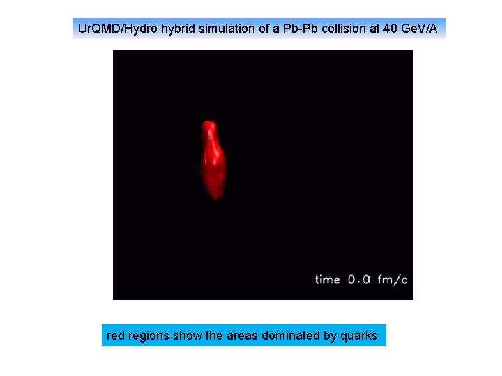 Ur. QMD/Hydro hybrid simulation of a Pb-Pb collision at 40 Ge. V/A red regions