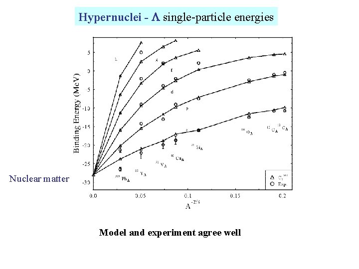 Hypernuclei - single-particle energies Nuclear matter Model and experiment agree well 