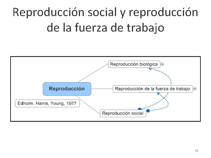 Reproducción social y reproducción de la fuerza de trabajo 28 